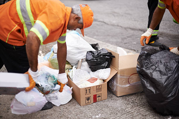 Professional Junk Removal in Miami Lakes, FL